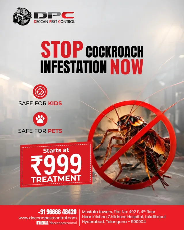 Cockroach Control Services in Hyderabad – Keep Your Home and Business Hygienic